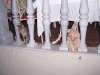 100_4275.jpg